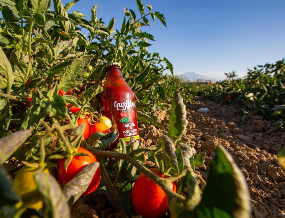 Agroindustria. Obiettivi 2021 Gustibus Alimentare:  innovazione, internazionalizzazione, territorio