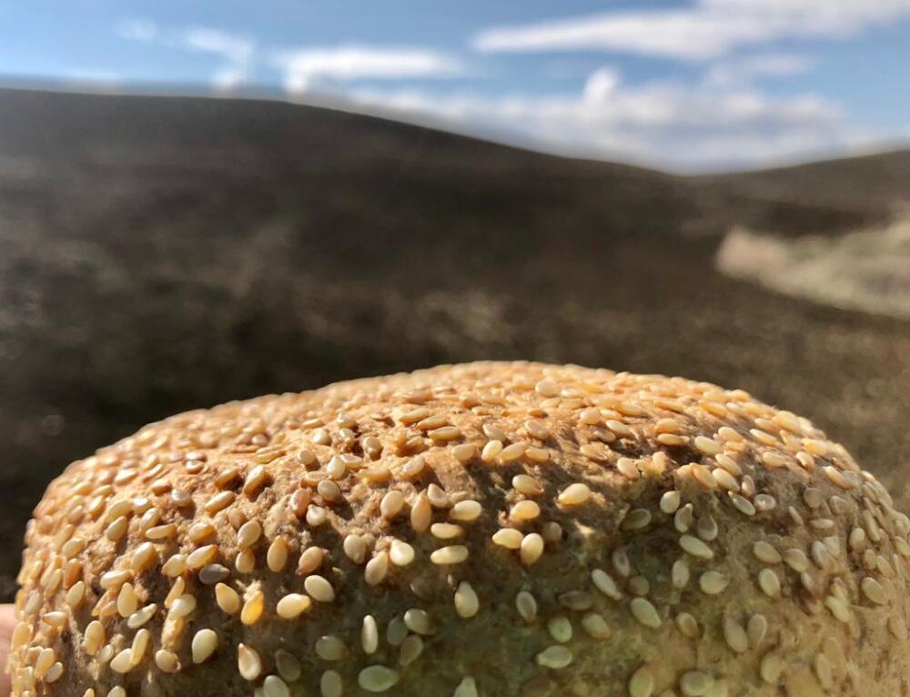 Agroalimentare, Pandittaino e la doppia filiera di grano tenero e duro