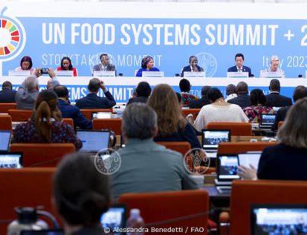 La Consulta dei Distretti del Cibo tra gli enti non governativi al Food Systems Summit + 2 